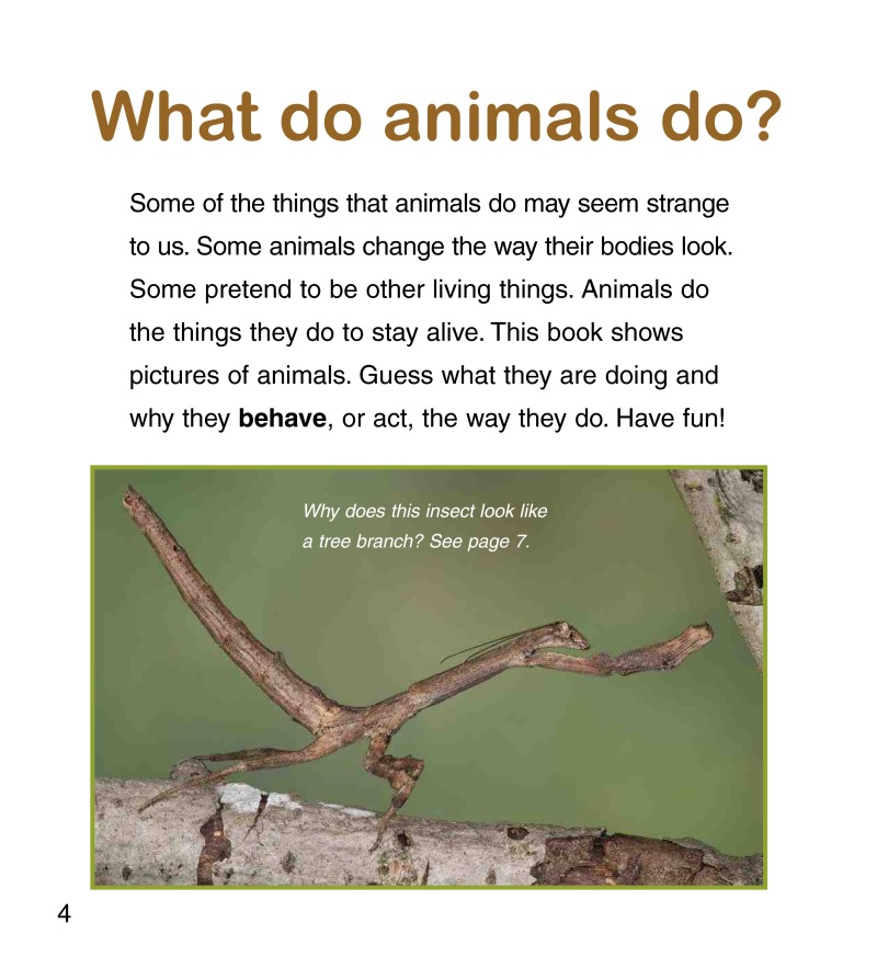What are these Animals Doing? — page 1