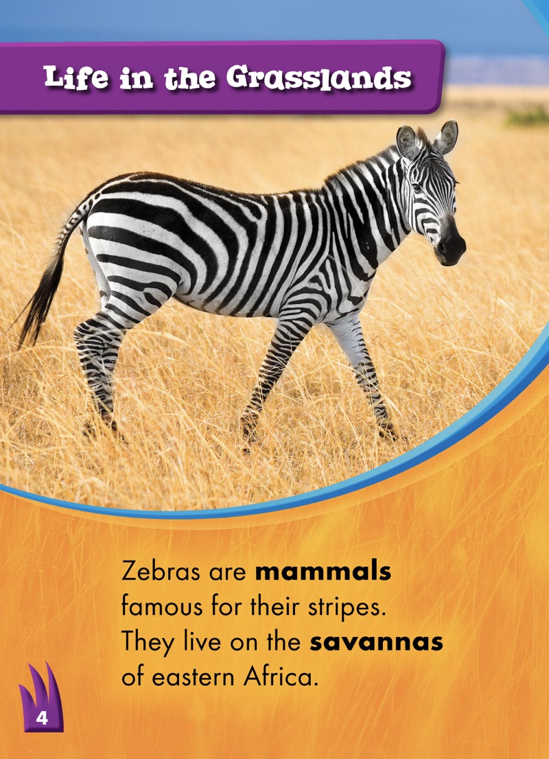 Zebras — page 1