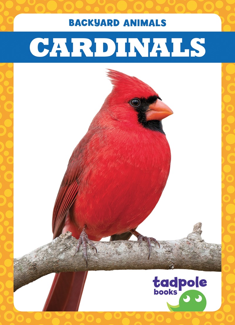 Backyard Animals: Cardinals book cover