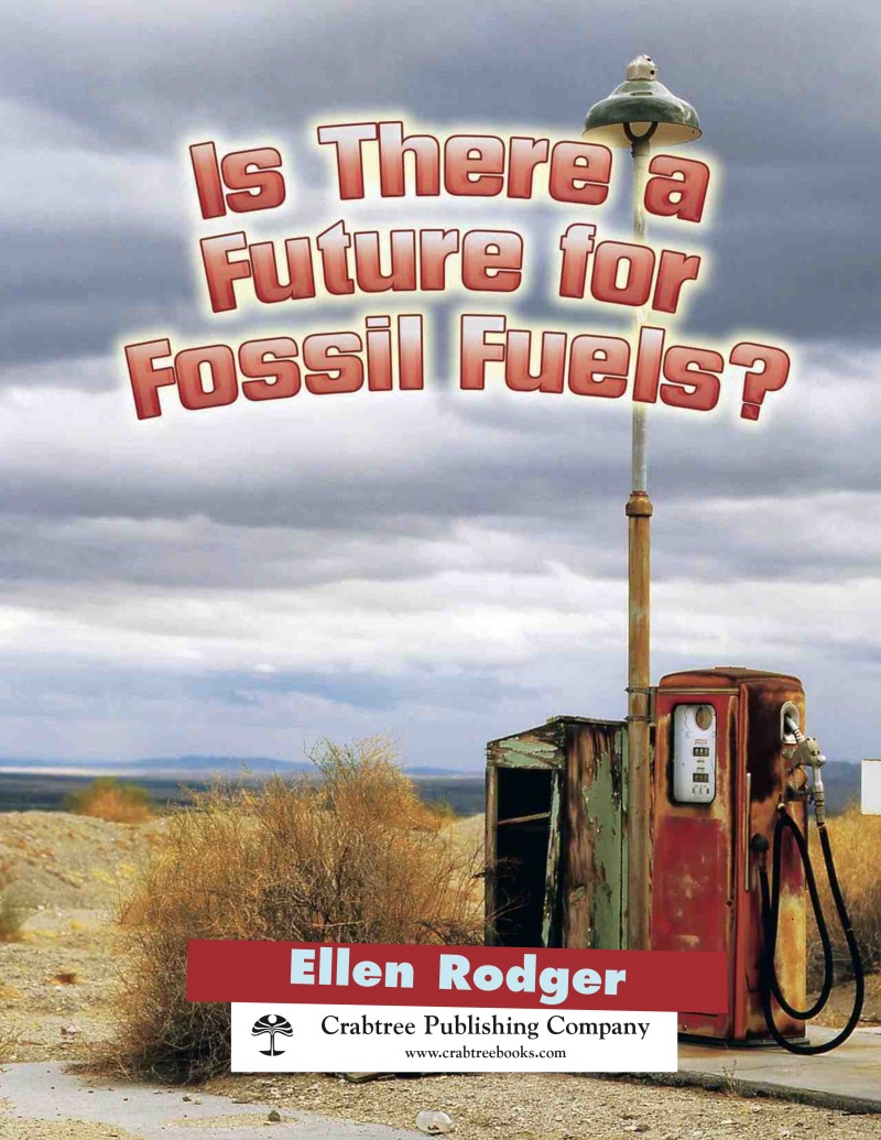 Is there a Future for Fossil Fuels? book cover