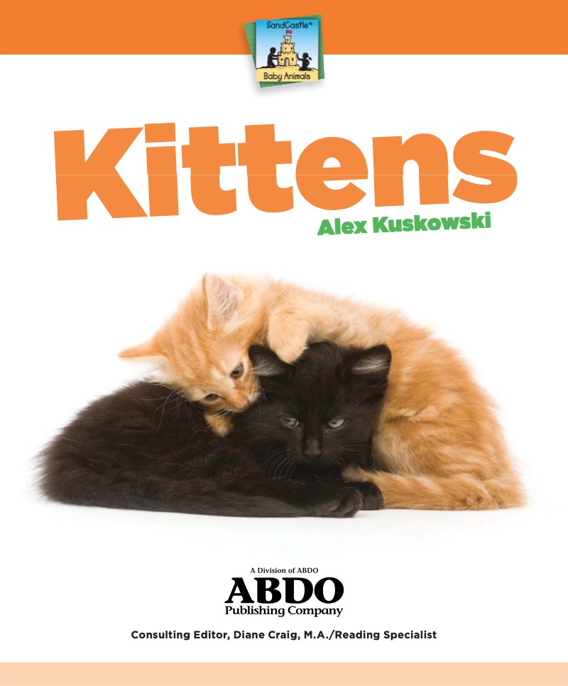 Kittens book cover