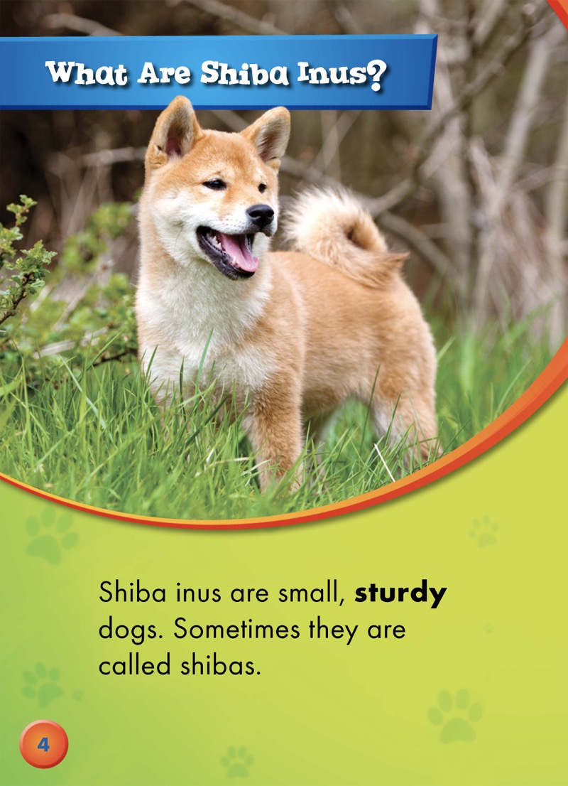 Awesome Dogs: Shiba Inus — page 1