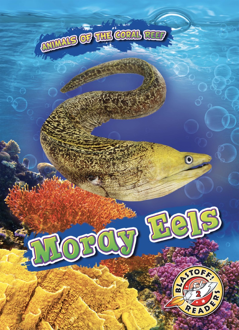 Animals of the Coral Reefs: Moray Eels book cover