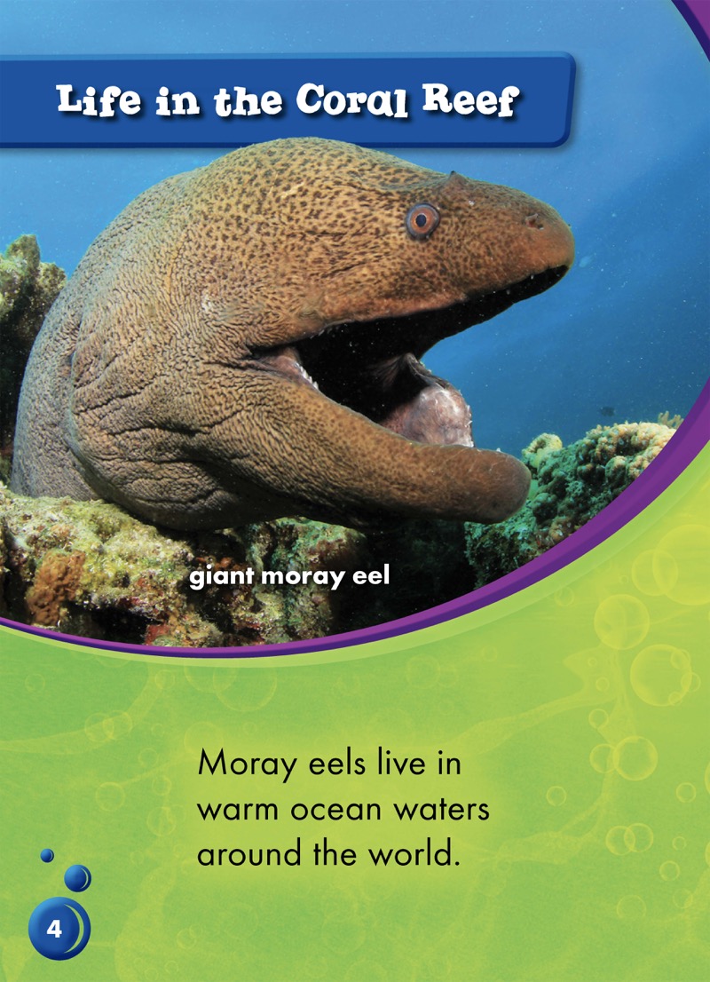 Animals of the Coral Reefs: Moray Eels — page 1