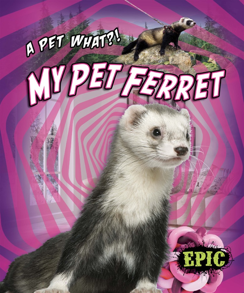 My Pet Ferret book cover