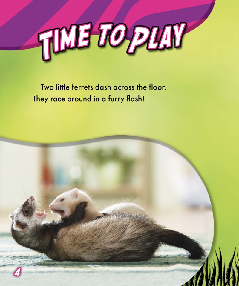 My Pet Ferret — page 1