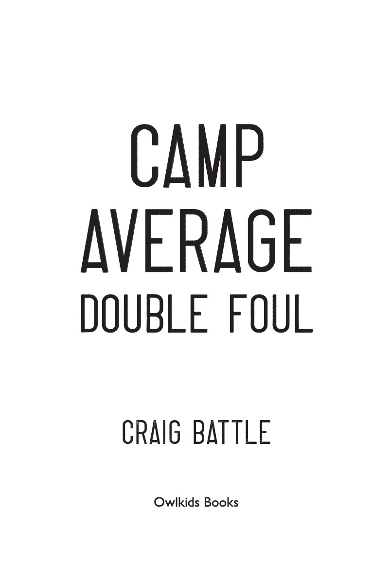 Camp Average: Double Foul book cover