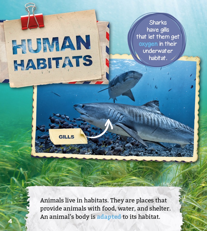 Human Habitats: Life by the Ocean — page 1