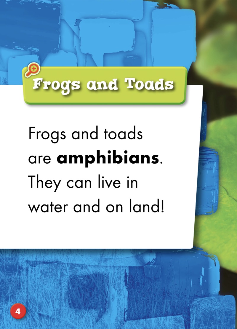 Spotting Differences: Frog or Toad? — page 1