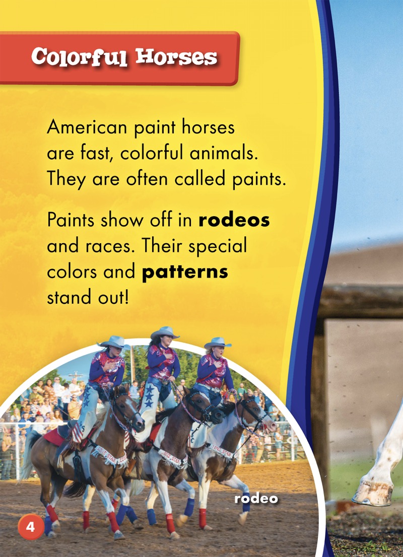 Saddle Up!: American Paint Horses — page 1