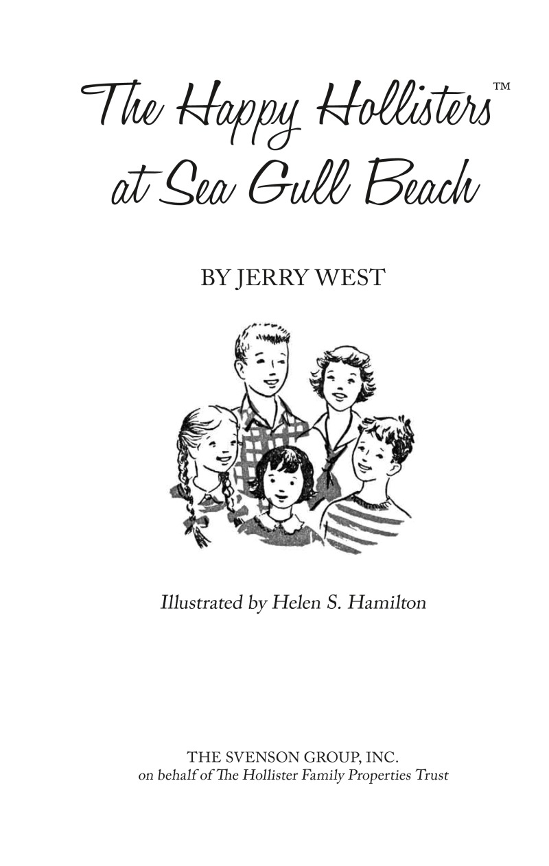 The Happy Hollisters at Sea Gull Beach book cover