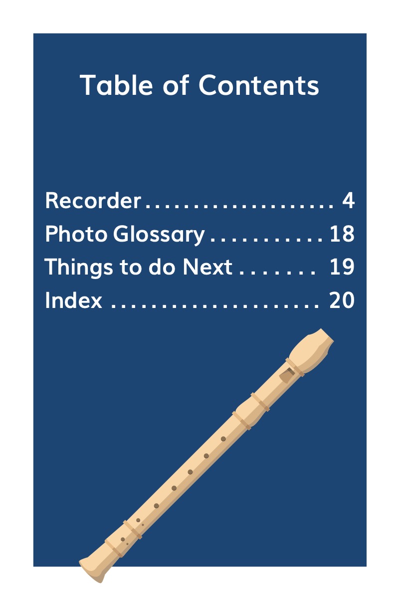 Discover Musical Instruments: Recorder book cover
