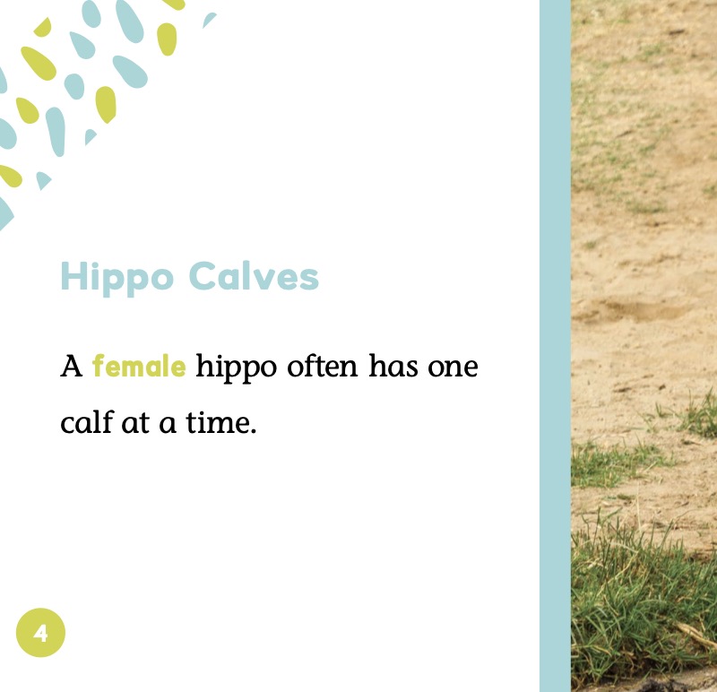 Baby Animals: Hippo Calves — page 1
