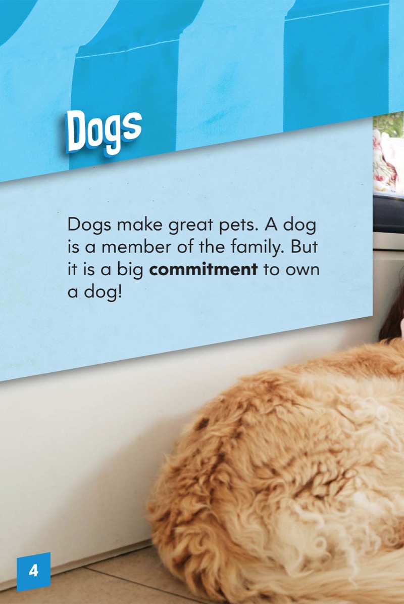 Pet Care: Dogs — page 1