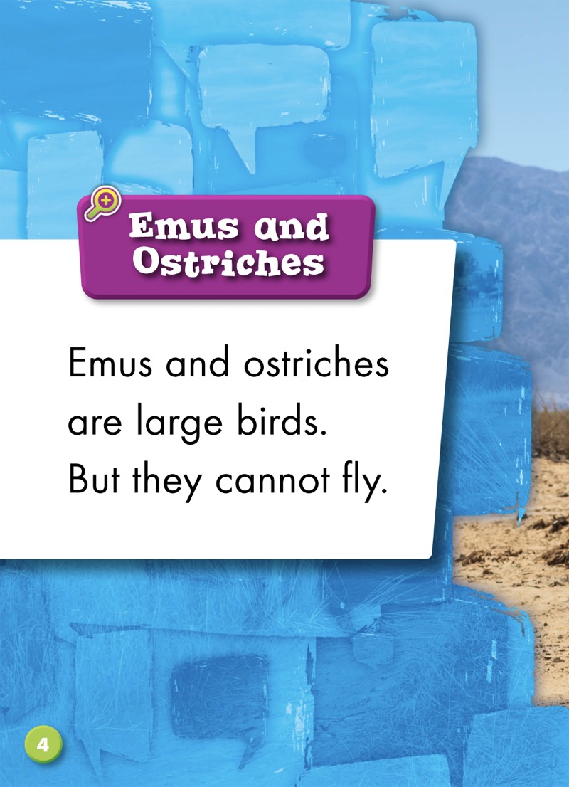 Spotting Differences: Emu or Ostrich? — page 1