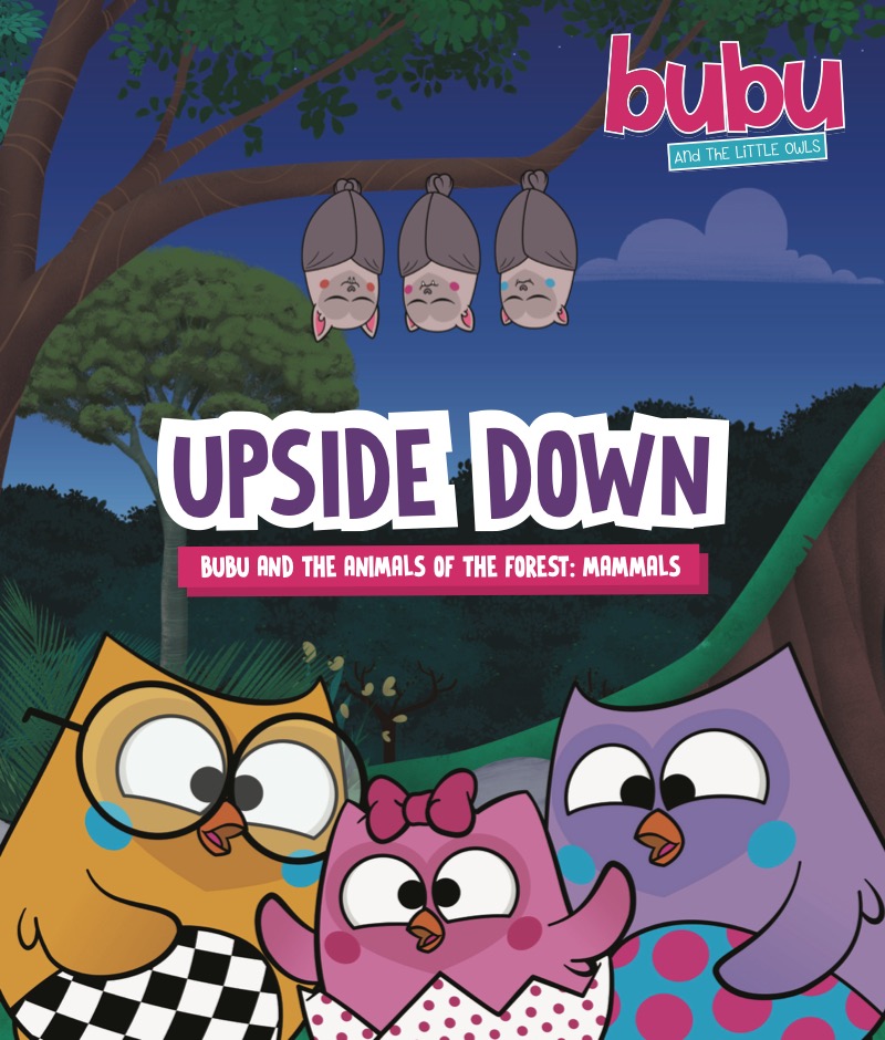 Bubu and the Little Owls: Upside Down book cover