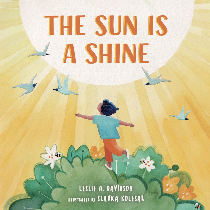 The Sun is a Shine book cover