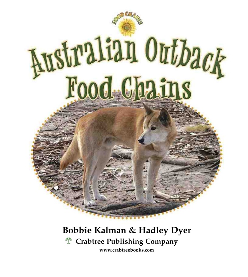 Australian Outback: Food Chains book cover