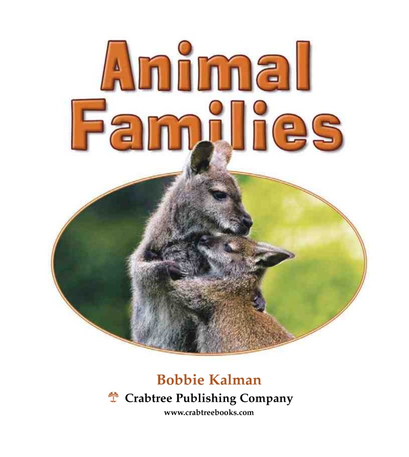 Animal Families book cover