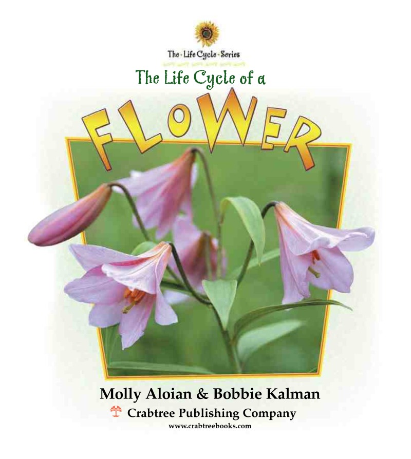 The Life Cycle of a Flower book cover