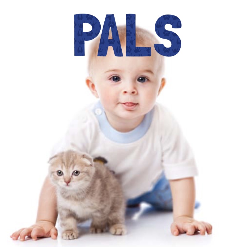 Animal Lovers: Pals book cover