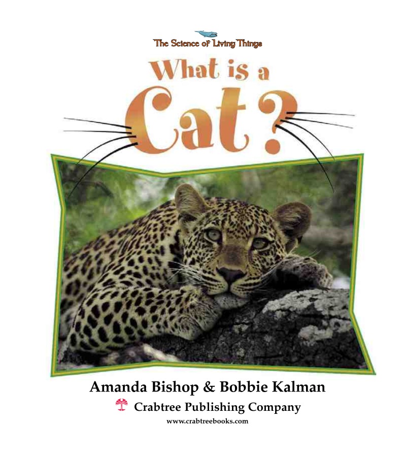 What is a Cat? book cover