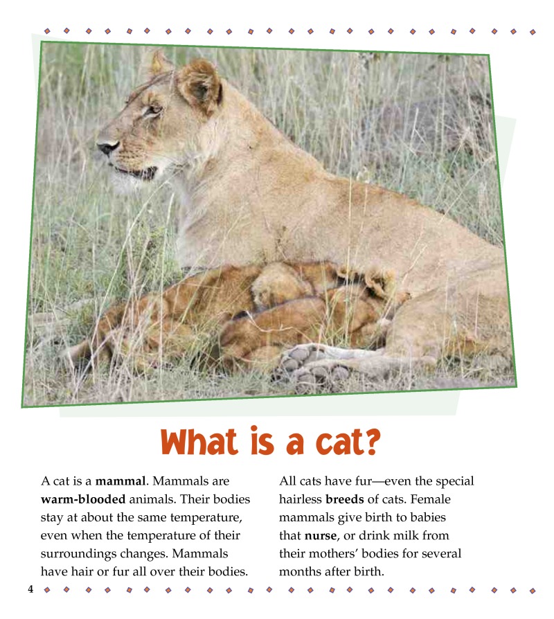 What is a Cat? — page 1