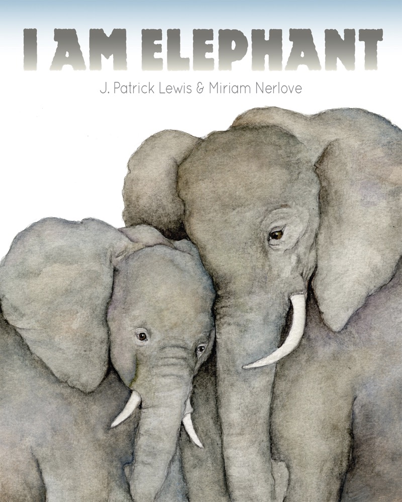 I Am Elephant book cover
