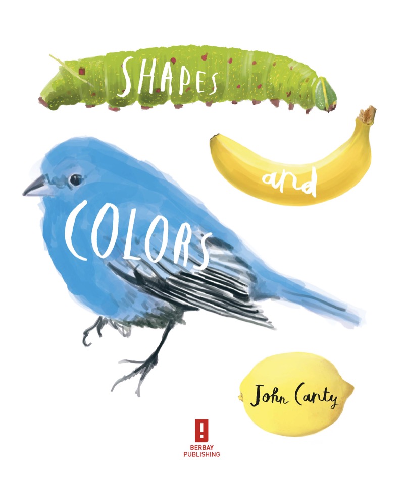 Shapes and Colors book cover