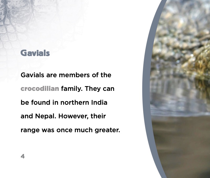 Spooky Animals: Gavials — page 1
