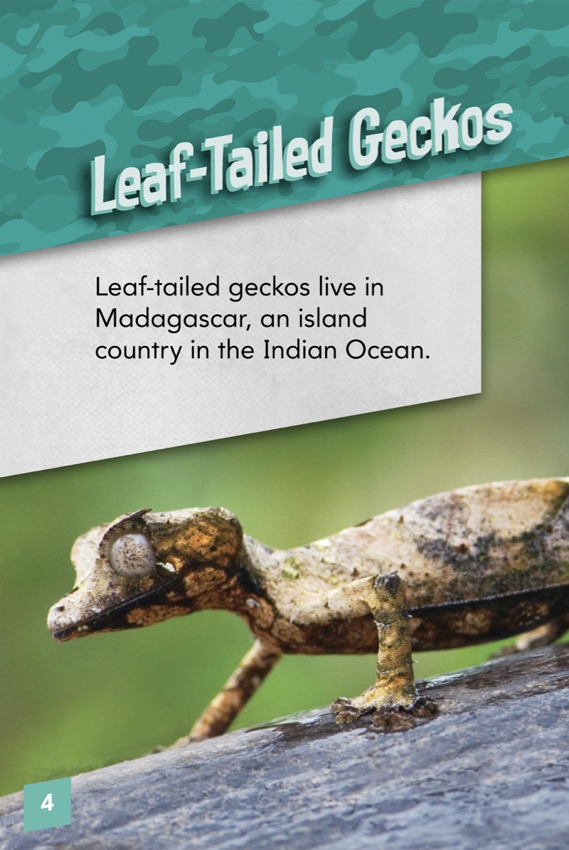 Animals With Camo: Leaf-Tailed Geckos — page 1