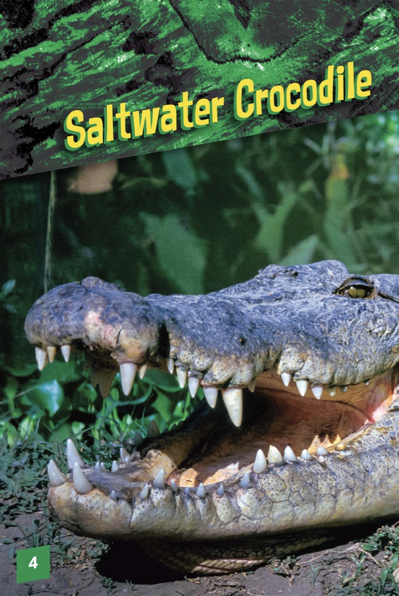 Animals with Bite: Saltwater Crocodile — page 1