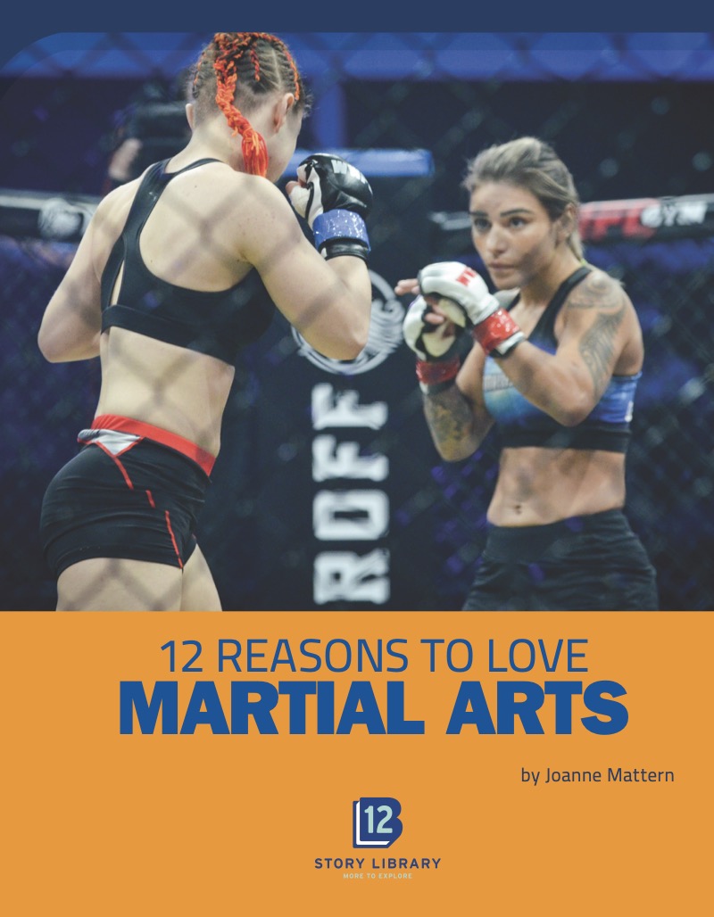 Sports Report: 12 Reasons to Love Martial Arts book cover