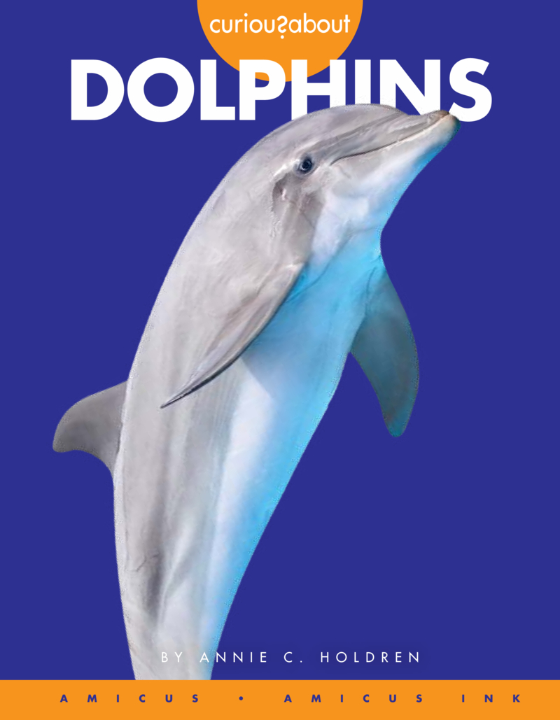 Curious About Dolphins book cover