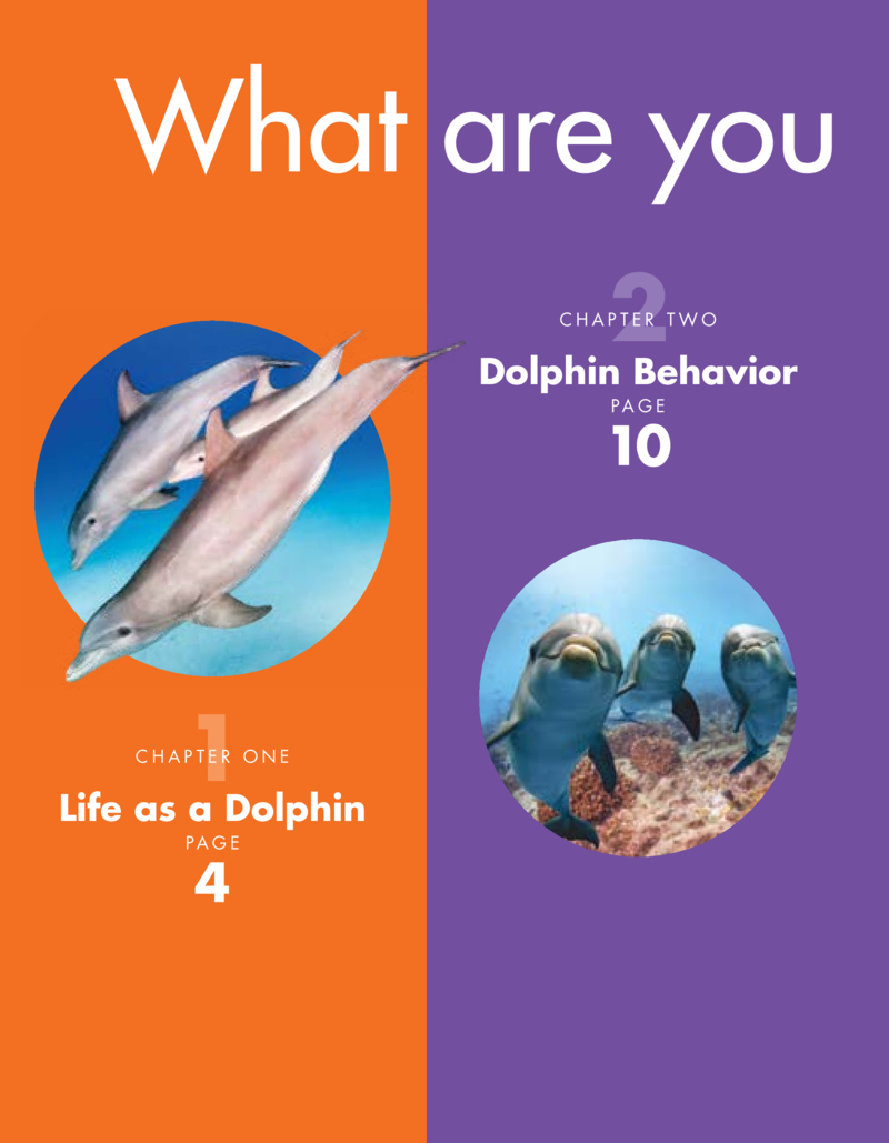 Curious About Dolphins — page 1