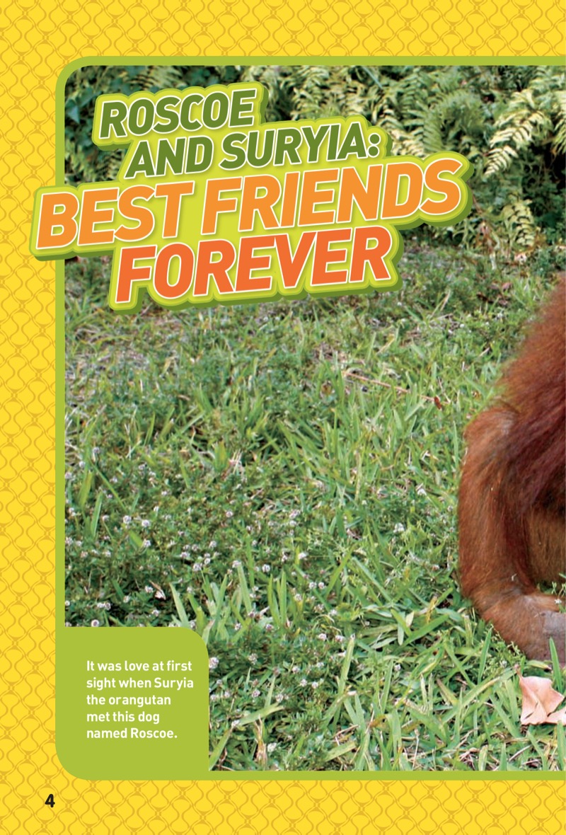 National Geographic Kids Chapters: Best Friends Forever — page 1