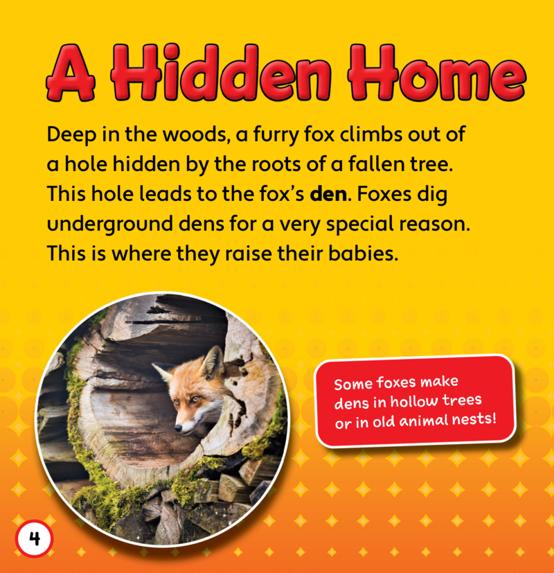 Underground Animal Life: Inside a Fox's Den — page 1