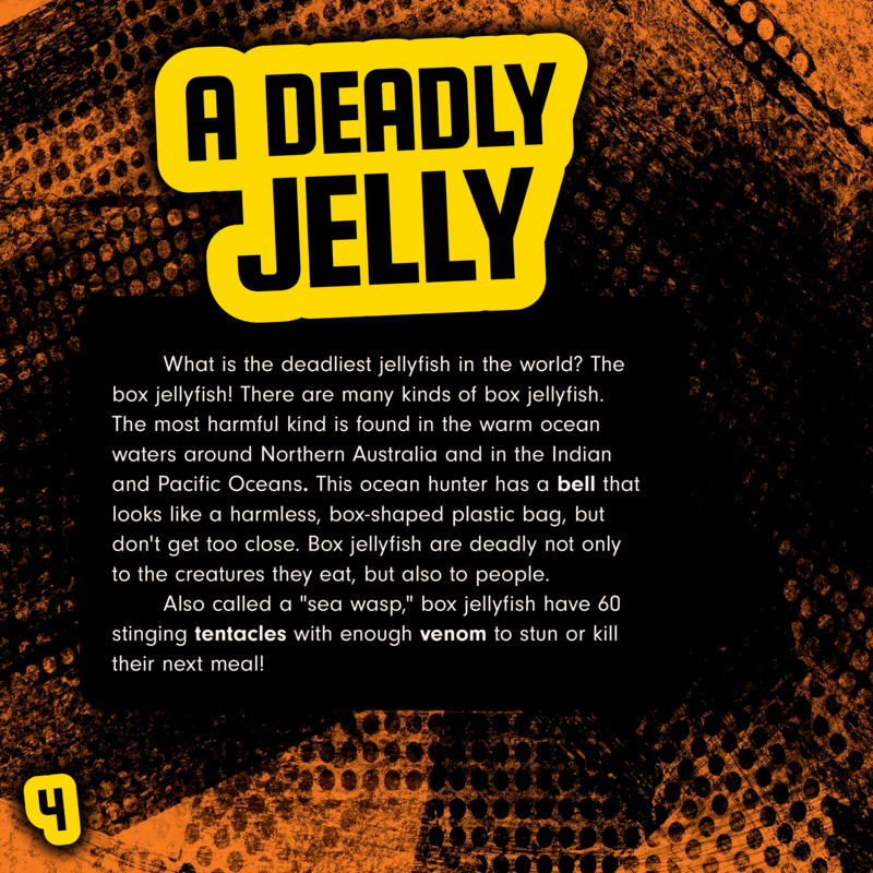 Bizarre Beast Battles: Box Jellyfish vs. Asian Giant Hornet — page 1