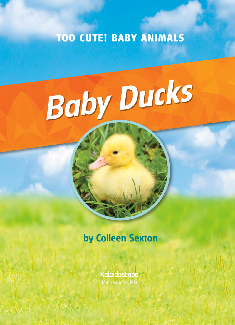 Baby Ducks book cover
