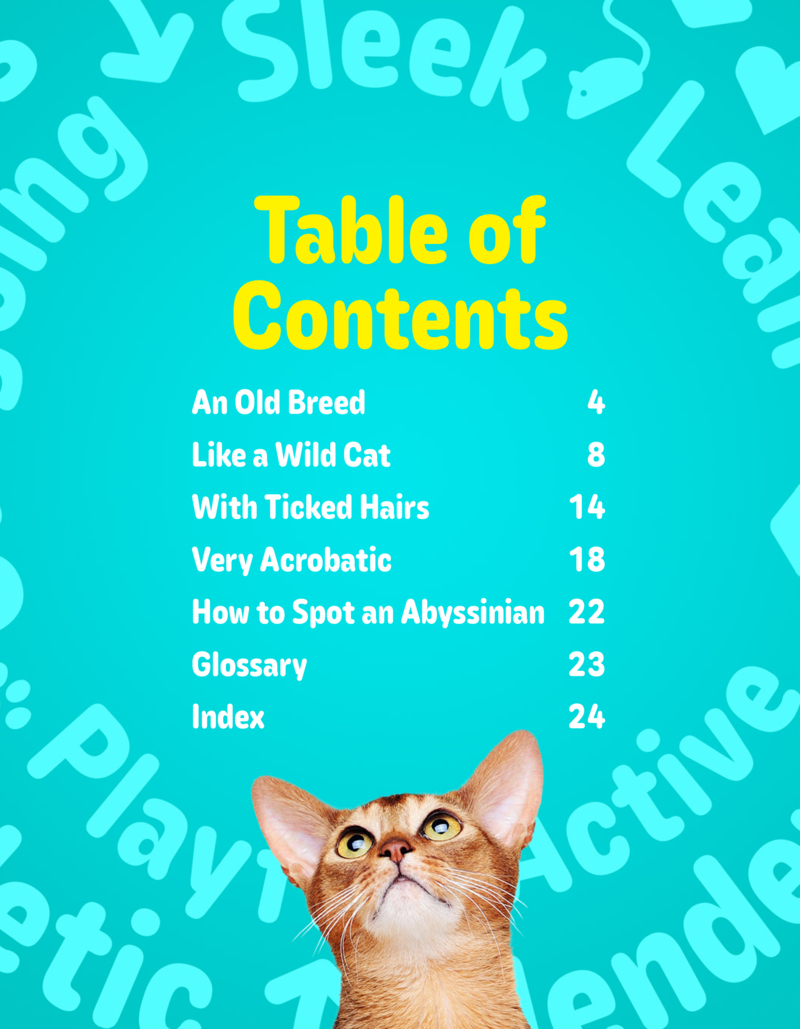 Hello Kitty Cats! Abyssinians book cover