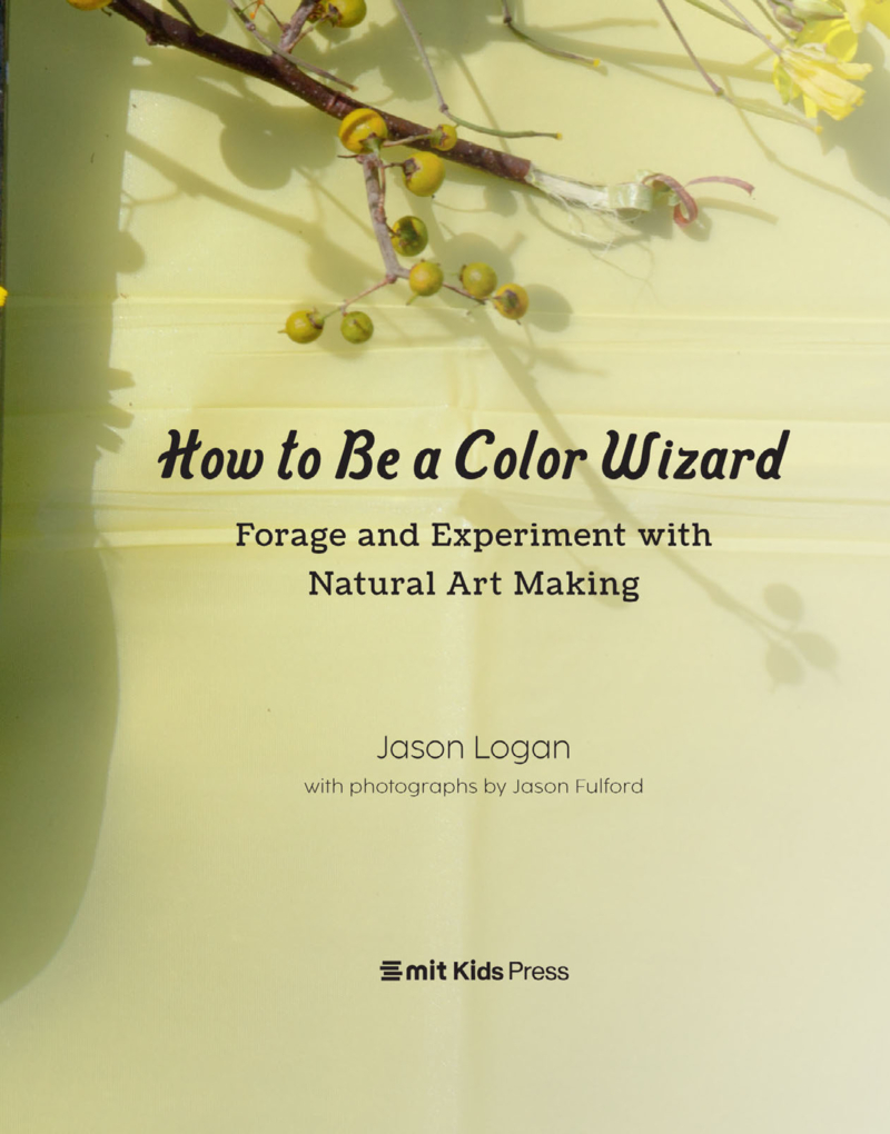How to Be a Color Wizard: Forage and Experiment with Natural Art Making book cover