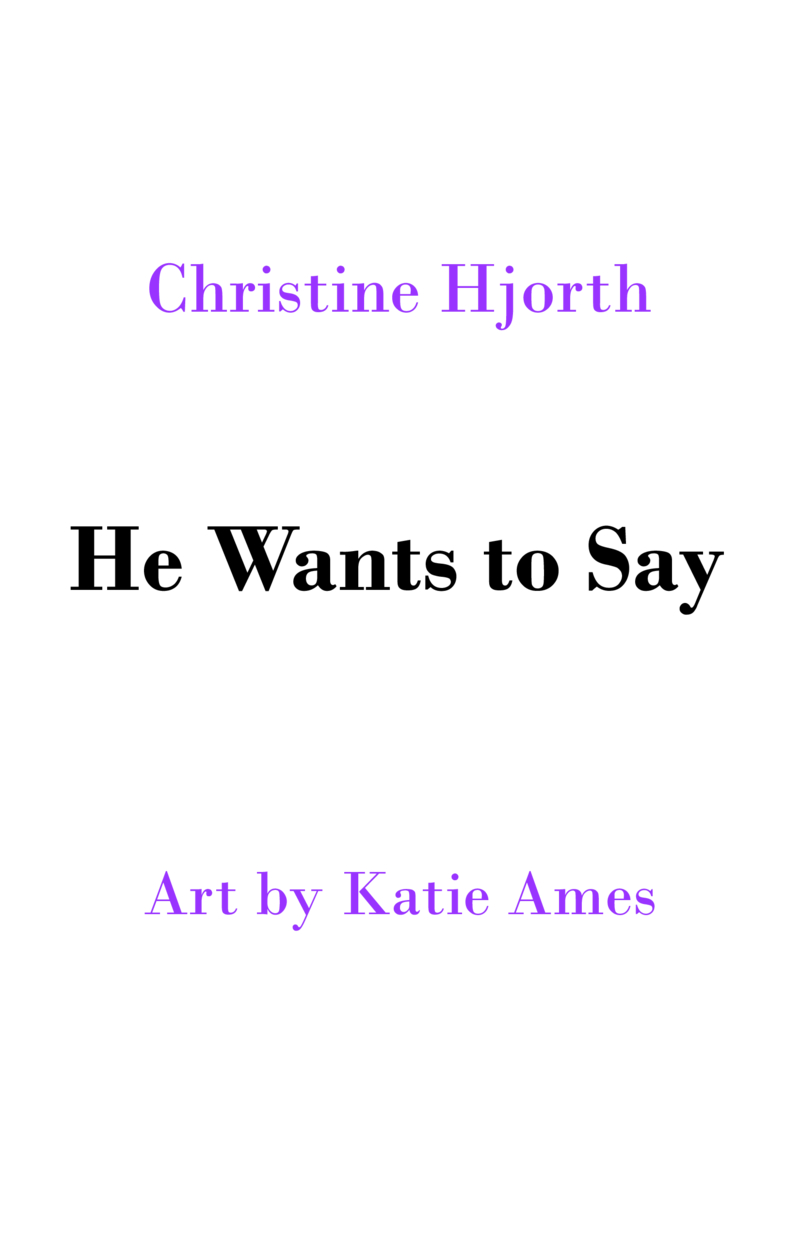 He Wants To Say... book cover