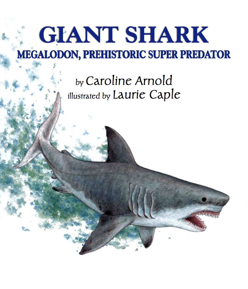 Giant Shark: Megalodon, Prehistoric Super Predator book cover
