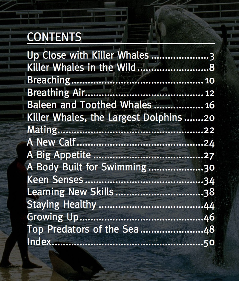 Killer Whale book cover