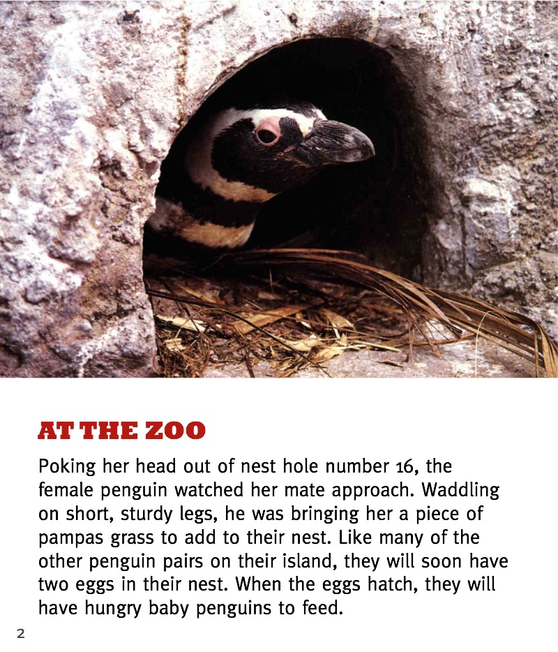 Penguin — page 1