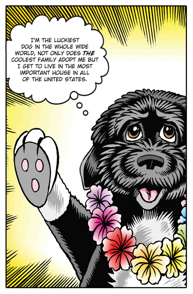 Presidential Pets book cover