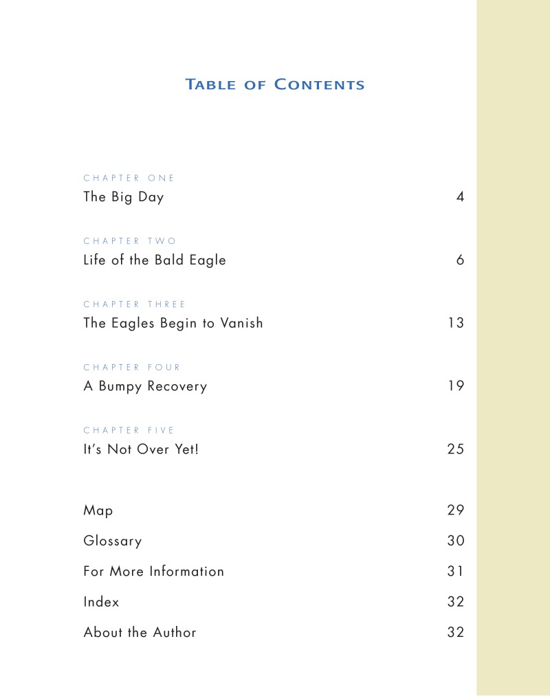 Road To Recovery: Bald Eagle book cover