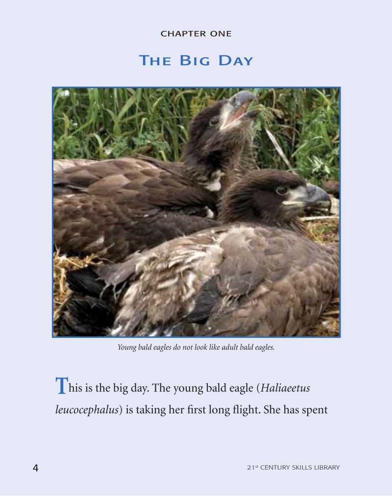 Road To Recovery: Bald Eagle — page 1