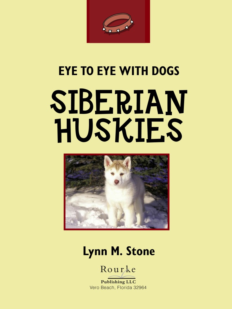 Eye To Eye With Dogs: Siberian Huskies book cover