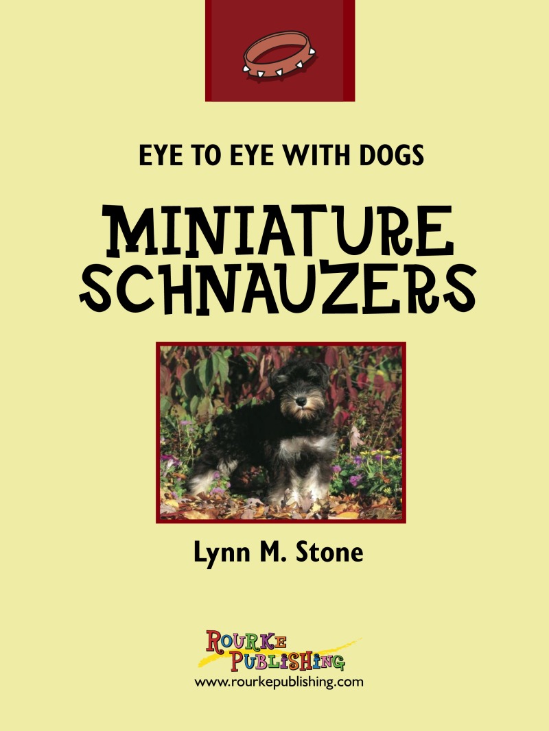 Eye To Eye With Dogs: Miniature Schnauzers book cover